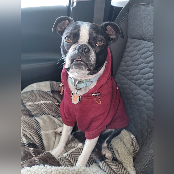 Meet your Posher, Tiff - Picture 13 of 16